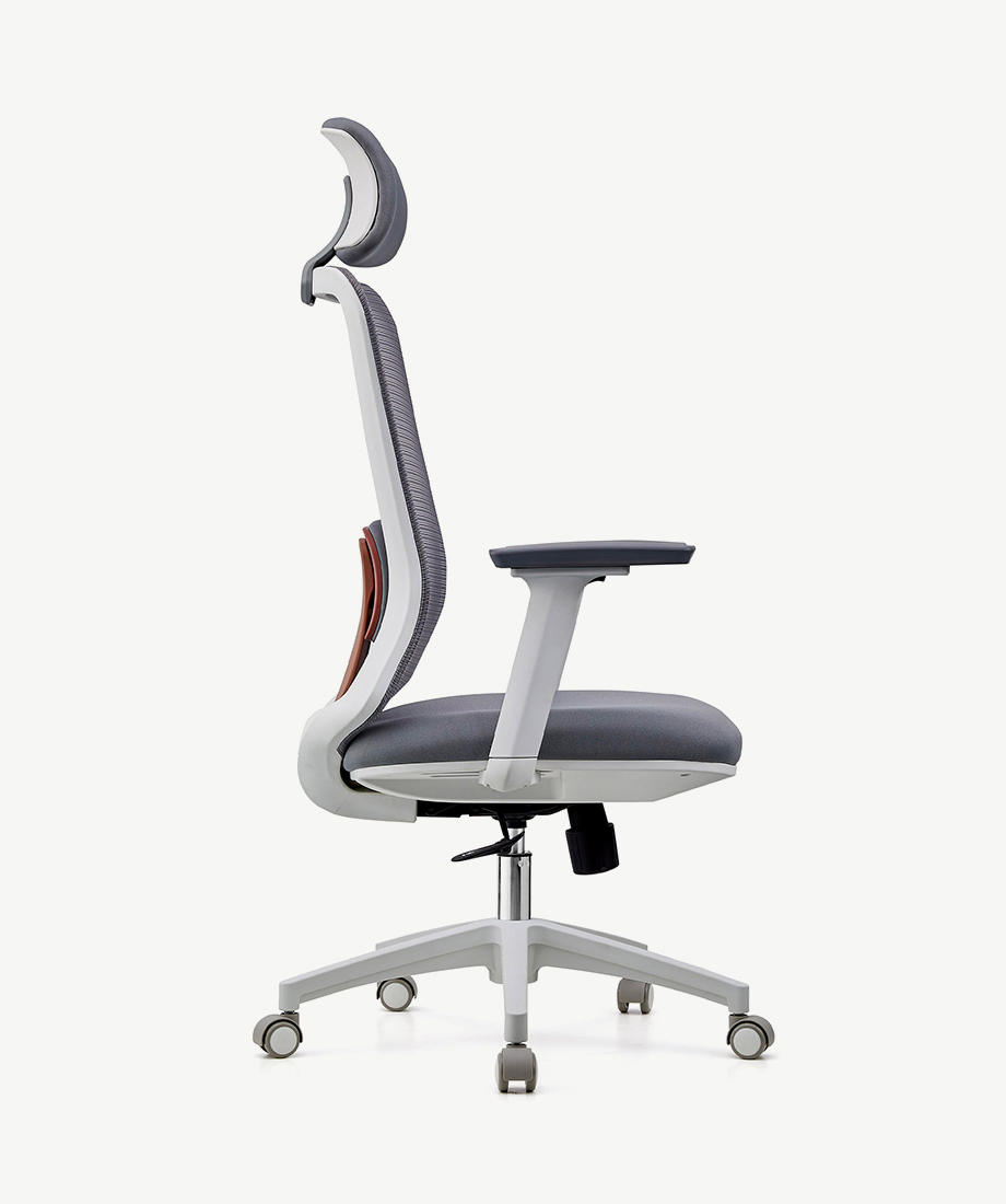 Brace - Image 4
