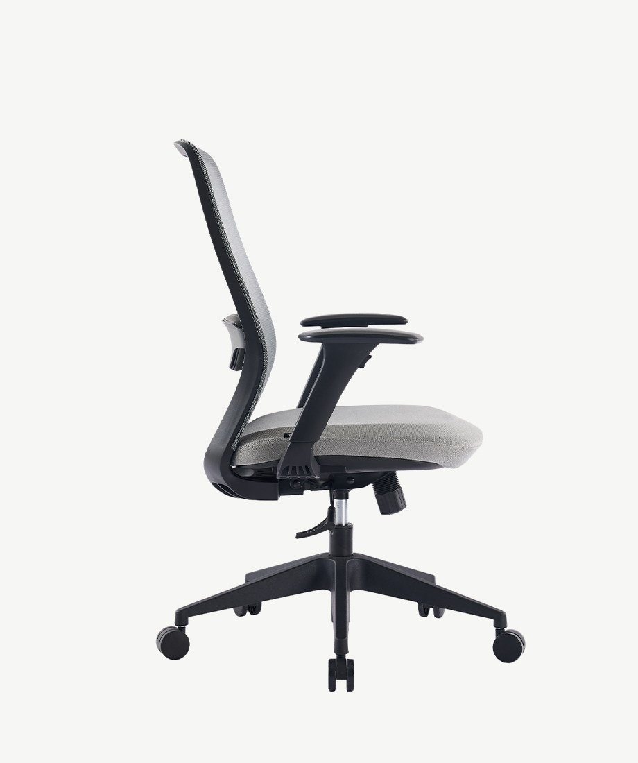 Y1 - Image 3