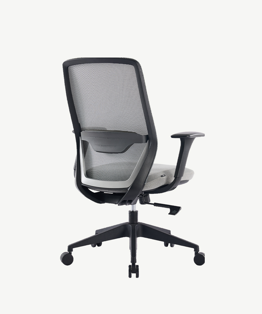 Y1 - Image 4